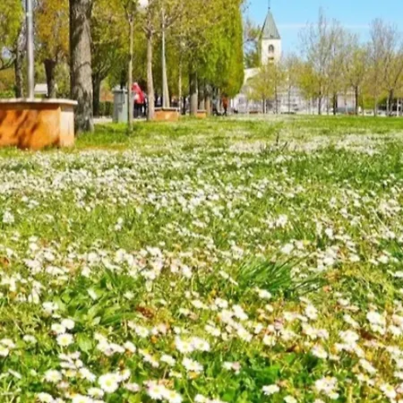 Pansion Ana Frühstückspension Međugorje